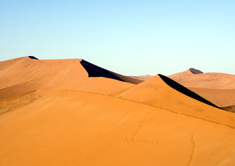 Wall Mural - Dunes in Africa