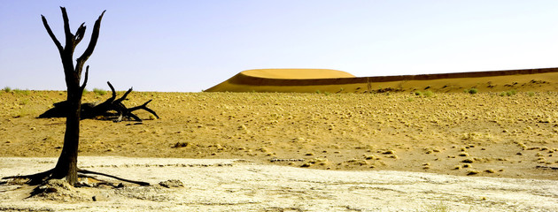 Wall Mural - Panorama Of The Africa