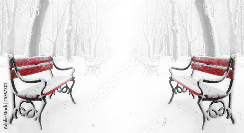 Obrazy mgła  czerwone-lawki-we-mgle-zima
