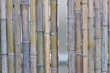 Bambus-Trennwand