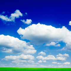 Wall Mural - Green field, the blue sky, white clouds. A landscape.