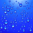 canvas print picture - realistic water droplets; check my gallery for more