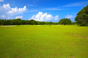 Big golf field in a sunny day