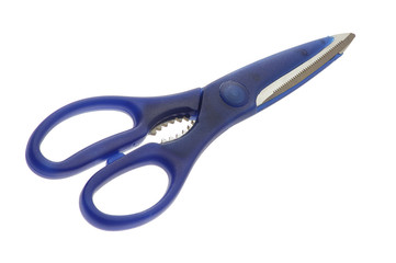 stainless scissors with blue plastic handles