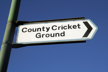 Cricket this way