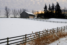 Farm With A Barn And Horses In Winter At Sunset