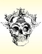 Vector deranged skull illustration