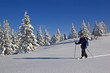 canvas print picture - Skitour in  Oberbayern