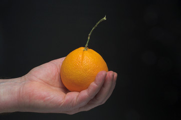 A person holding a freshly picked orange.