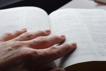 Wall Mural - religious person is reading the holly bible