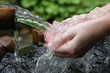 canvas print picture - nature water aqua hands fresh pure health spring