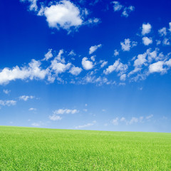 Wall Mural - The green field and white clouds.