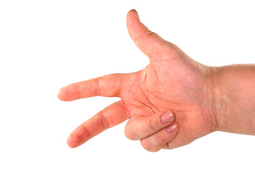 Hand isolated on a white background..