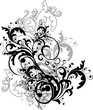 monochrome floral ornament - vector