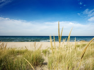 path to beach with dune grass