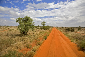 Wall Mural - Kenya : parc Tsavos : piste