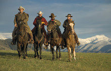 Working Cowboys On The Range.Working Horse Ranch In Montana