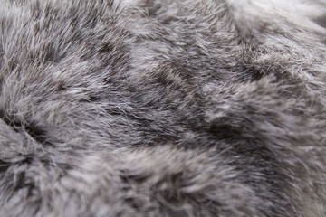 Gray rabbit fur as background or texture