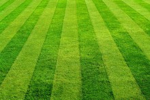 Grass Stripes
