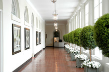 Sourth Corridor Of The White House, Washington DC
