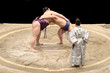 Two sumo wrestlers (rikishi) and the referee (gyoji) during a sumo fight in a tournament, professional sumo wrestling match