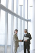 © carlosseller - Two businessmen shaking hands in front of large glass windows