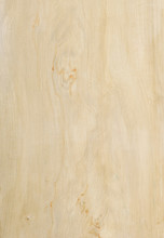 Poplar Wood Texture