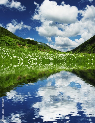 Foto-Kissen - Mountain meadow (von Galyna Andrushko)