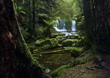 Waterfall In Tasmania 2