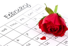 Red Rose On Calendar Valentines Day