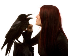 Young Woman With Black Raven On White Background