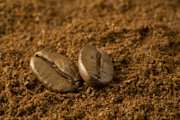 macro of two roasted coffee beans placed on ground coffee