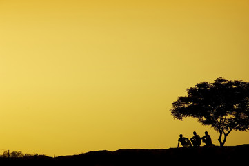 three man and a tree