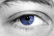 High Contrast Eye Vivid Blue