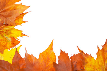 Wall Mural - Autumn corner made from leaves, isolated on white background