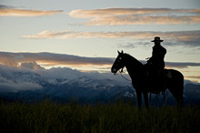 Cowboy Silhouette Against Dawn Sky