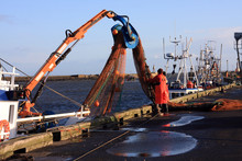 Fishermen Working On Their Nets At Amble Harbour England