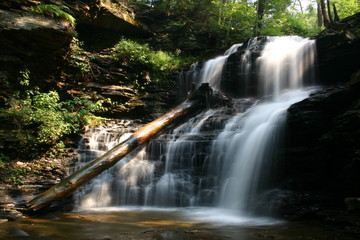 Ricketts Glen State Park