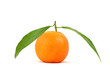 Tangerine isolated on pure white background