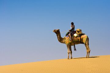 Canvas Print - Riding a camel on a sand dune - Thar desert, Rajasthan, India