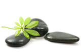 Therapy stones