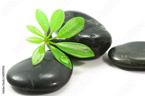 Foto-Fußmatte - Therapy stones (von Tund)