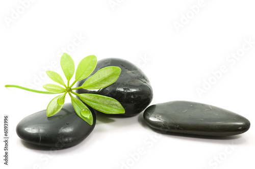 Foto-Lamellenvorhang - Therapy stones (von Tund)