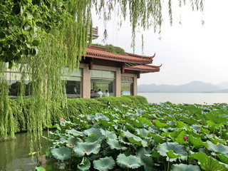 Canvas Print - Pagode, lotus et saule pleureur, Lac Hangzhou, Chine