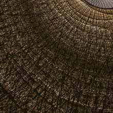 Abstract Fractal Rendering Of Rings Of A Tree