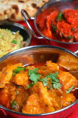 Sticker - Indian curry dishes with rice and naan bread