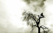 grunge tree surgery silhouette