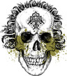 Voodo skull illustration