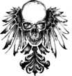 Winged skull illustration
