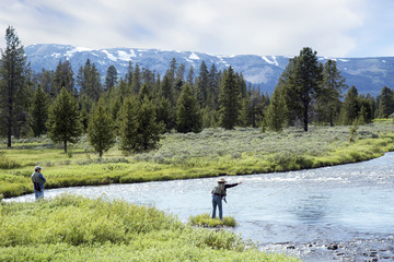 Fly Fishing in a Mountain Stream